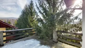 Vanzare casa mare la munte langa padure in Cheia Prahova locatie excelenta - imagine 7