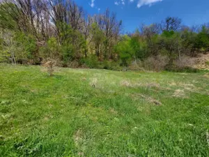 Casa spațioasă cu 6 camere și teren generos, lângă pădure - Valea Ursului/Argeș - imagine 10