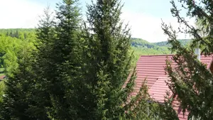 Vanzare casa mare la munte langa padure in Cheia Prahova locatie excelenta - imagine 18