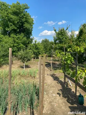 Vand casa Bujac  - imagine 8 Vand casa Bujac  - imagine 8