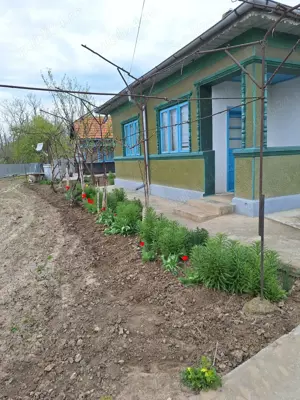 Casă 4 camere, curte 1680 mp - sat Lunca, com. C.A. Rosetti, jud Buzău - imagine 2