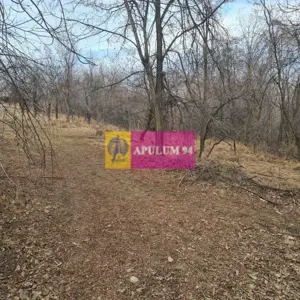 Teren intravilan de vanzare in Cornu de Jos