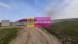 Parcelă aproape de Pădura la 1 Decembrie Ilfov - imagine 9