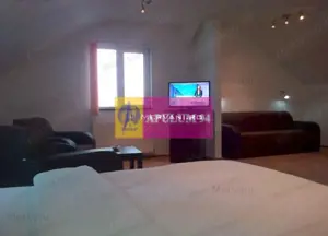 Spatiu turistic de vanzare in Busteni - Zona Centrala - imagine 2