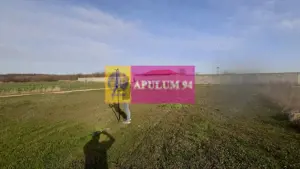 Parcelă aproape de Pădura la 1 Decembrie Ilfov - imagine 3