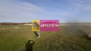 Parcelă lângă pădure în Ilfov