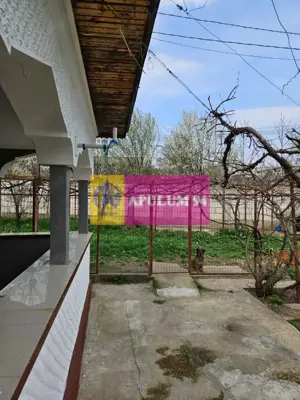 GIURGIU - COM. BUCSANI (SAT OBEDENI) CASA 2 CAM DE VANZARE - imagine 8