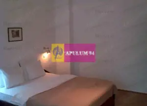 Spatiu turistic de vanzare in Busteni - Zona Centrala - imagine 5