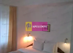 Spatiu turistic de vanzare in Busteni - Zona Centrala - imagine 3