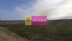 Parcelă aproape de Pădura la 1 Decembrie Ilfov - imagine 7