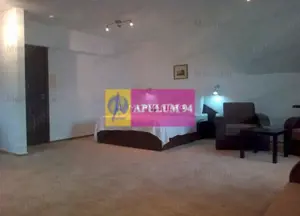 Spatiu turistic de vanzare in Busteni - Zona Centrala - imagine 17