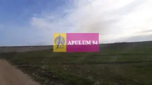 Parcelă lângă pădure în Ilfov - imagine 7