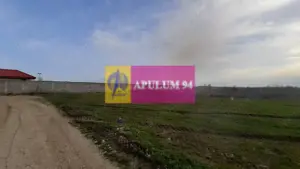 Parcelă lângă pădure în Ilfov - imagine 5