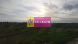 Parcelă aproape de Pădura la 1 Decembrie Ilfov - imagine 6