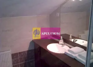 Spatiu turistic de vanzare in Busteni - Zona Centrala - imagine 19