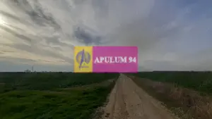 Parcelă aproape de Pădura la 1 Decembrie Ilfov - imagine 8