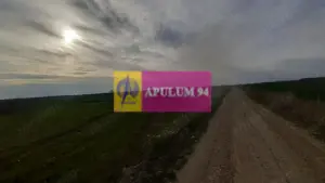 Parcelă lângă pădure în Ilfov - imagine 4