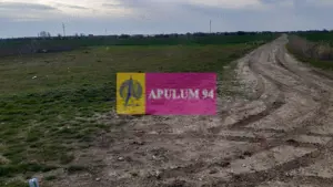 Parcelă lângă pădure în Ilfov - imagine 8