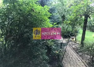 Vila Prelungirea Ghencea- Restaurantul Latin. - imagine 20