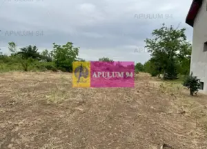 Teren Domnesti- Mega Image. - imagine 3