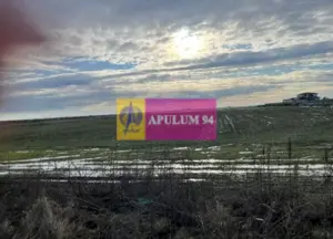 Teren Mihailesti- langa Dovinot. - imagine 4