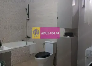 Casă 2020, parter+pod, garaj, magazie, curte 420 mp, Săbăreni - imagine 10