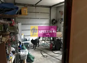 Vila Prelungirea Ghencea- Restaurantul Latin. - imagine 14