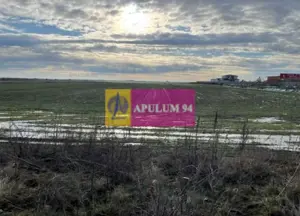 Teren Mihailesti- langa Dovinot. - imagine 2