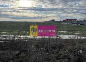 Teren Mihailesti- langa Dovinot.