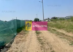 Teren Domnesti- Ciutaci.