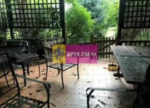 Vila Prelungirea Ghencea- Restaurantul Latin. - imagine 19