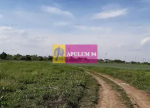 Teren construcție casă - 1 Decembrie - Zona Metropolitană București - imagine 11