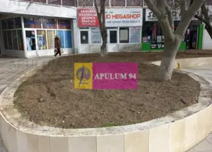 Vanzare sp com central in Alexandria / Teleorman - imagine 7