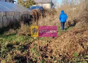 Teren 752 mp de vanzare in Jilava (central) - imagine 3