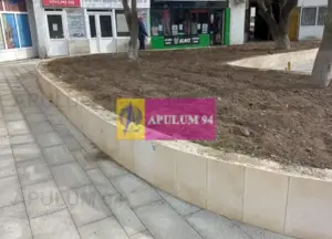 Vanzare sp com central in Alexandria / Teleorman - imagine 9