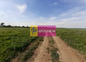 Teren construcție casă - 1 Decembrie - Zona Metropolitană București - imagine 9