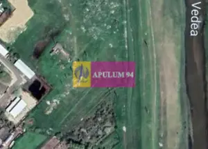 OCAZIE!!! Teren 5000 mp de vanzare in Alexandria - TR - imagine 13