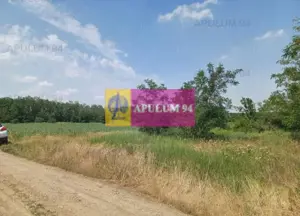 Săbăreni, teren 12620 mp pentru case, lângă pădure - imagine 3