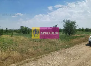 Săbăreni, teren 12620 mp pentru case, lângă pădure - imagine 5