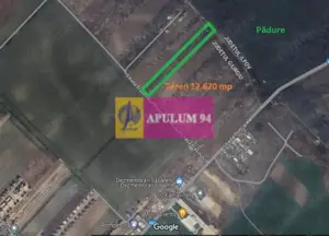 Săbăreni, teren 12620 mp pentru case, lângă pădure