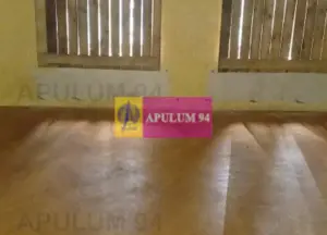 Vila P+1+pod- Parcul Ioanid - imagine 7