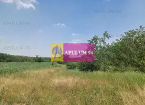 Săbăreni, teren 12620 mp pentru case, lângă pădure - imagine 2