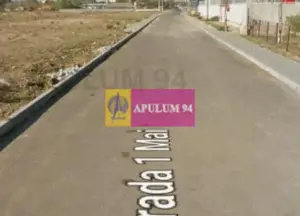 OCAZIE!!! Teren 5000 mp de vanzare in Alexandria - TR - imagine 7