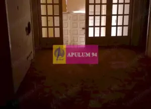 Vila P+1+pod- Parcul Ioanid - imagine 10