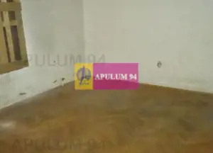 Vila P+1+pod- Parcul Ioanid - imagine 9