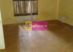 Vila P+1+pod- Parcul Ioanid - imagine 5