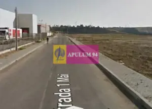 OCAZIE!!! Teren 5000 mp de vanzare in Alexandria - TR - imagine 4