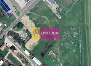 OCAZIE!!! Teren 5000 mp de vanzare in Alexandria - TR - imagine 14