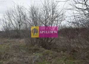 Teren cu potential comercial, bun pentru Showroom. - imagine 10