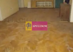 Vila P+1+pod- Parcul Ioanid - imagine 6